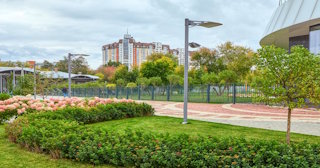 Профессиональное озеленение улиц в Алейске в октябре