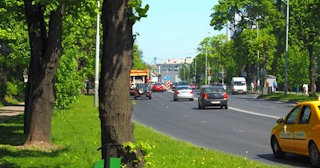 Посадка деревьев и кустарников в Алейске — стоимость от 1237 руб.